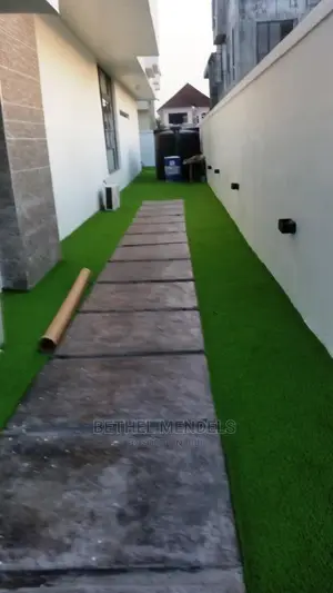 Artificial Grass For Walkway In Lagos