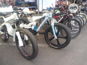 American Alloid Wheel Bicycles Available at Favour Sports