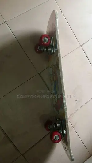 Skate Board