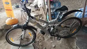 Adult Riding Bike