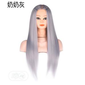 Mannequin Grandma Gray Braided Wig