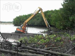 Bush Clearing in Lagos and All Over Nigeria