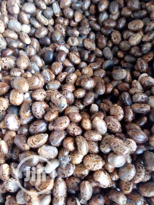 Castor Seeds - Indian Brown