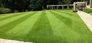 Amazing Fake Grass For Your Beautiful Landscaping View