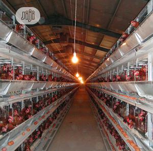 Poultry Cages Imported Battery Cages Best Chicken Cage