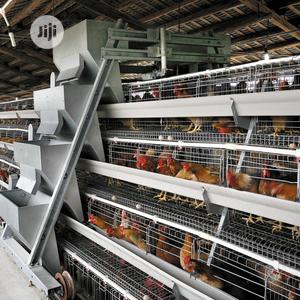 China Factory Best Chicken Cage Poultry Cage