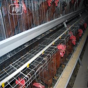 Battery Cages / Chicken Cages