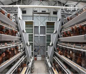 China Factory Hot Galvanized Battery Cage Layer Imported Battery Cage
