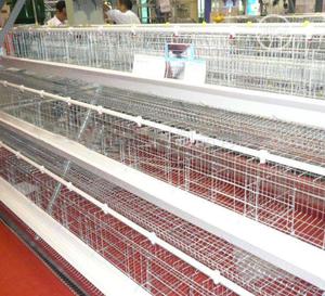 China Factory Battery Cages Imported Hot Galvanized Poultry Cages