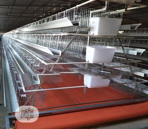 Battery Cages China Factory Imported Hot Galvanized Poultry Cages