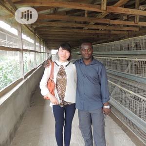 Battery Cage China Factory Poultry Battery Cages
