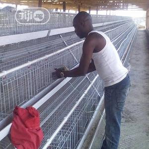China Factory Battery Cage Best Quality Wholesale Price Poultry Cages