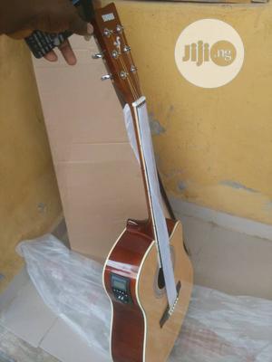 Original Professional Semi Acoustic Guitar