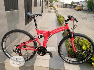 Folding Adult Sport Bicycle