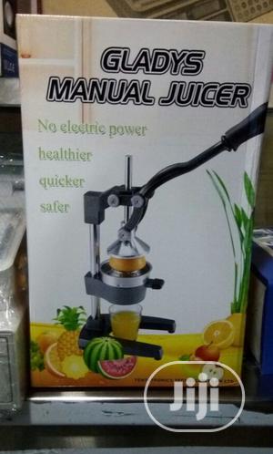 Manually Operated Juice Extractor