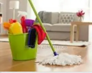 Pro Cleaning