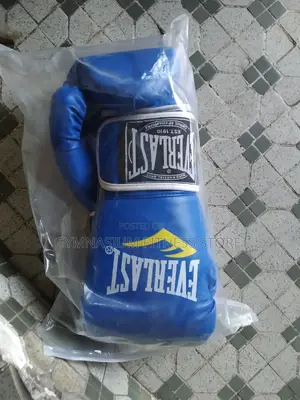 Boxing Glove Everlast Blue 120z Boxing
