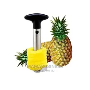 Stainless Steel Pineapple Peeler
