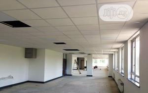 Suspended Ceiling