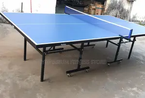 Indoor Table Tennis Blue Top 908