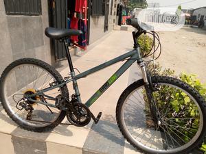 Apollo Teenager Sport Bicycle