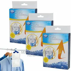 Interior Hanging Dehumidifying Bag