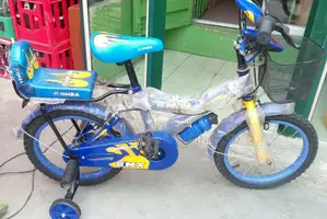 Simba Size 16 Children Riding Bike