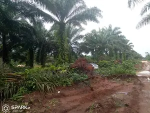 Private and Commercial Plots of Land