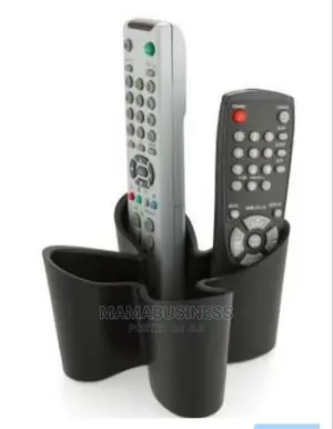 Remote Holder Organizer