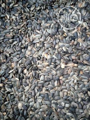 Sunflower Seeds - Kilogram