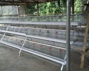 120 Birds Battery Cage For Laying Hen Imported New