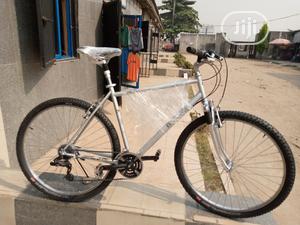 Decathlon 29 Inches Sport Bicycle