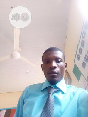 Data Analyst