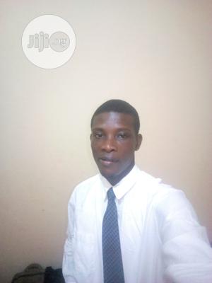 Data Analyst