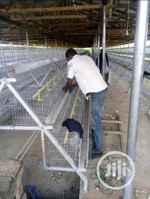 China Factory Best Battery Cage Hot Dipped Poultry Cages