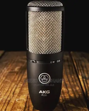 AKG P220 Condenser Microphone