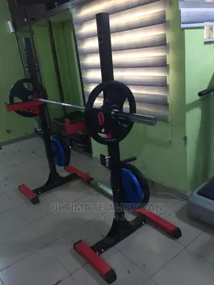 American Fitness Squat Rack With The Weight 50kg