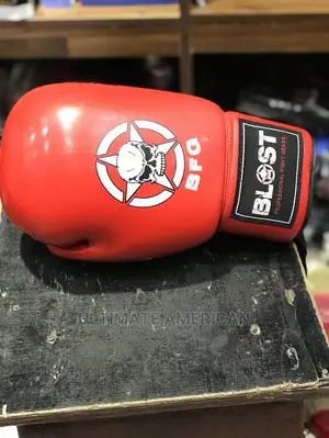 Professional Boxing Glove