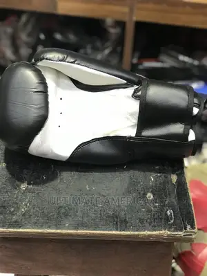 Original Everlast Boxing Gloves