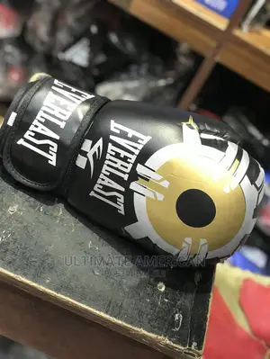 Original Everlast Boxing Gloves