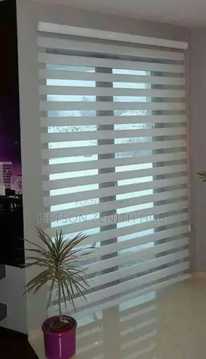 Window Blinds