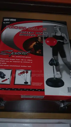 Adult Boxing Set With Stand And A Pair Of Boxing Gloves