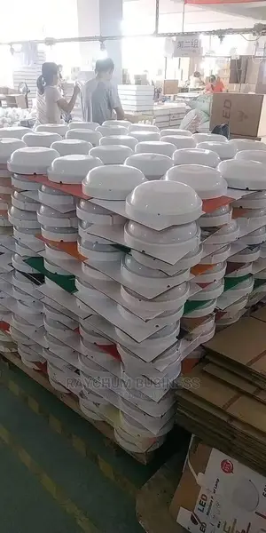 Solface Bulb Of All Size