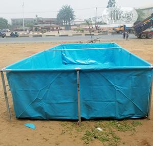 Massive Fish Pond