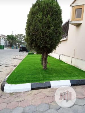 Quality Turkish Artificial Grass for Garden.