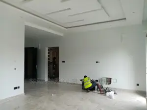 Professional House Painter