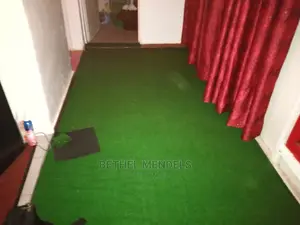 Artificial Grass Installation For Interior Decoration