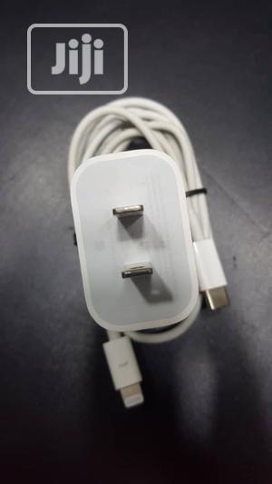 iPhone 11 Pro Charger