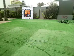 Synthetic Artificial Grass For Rentals