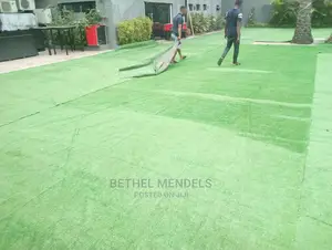 Natural Artificial Grass Installed For Compound In Lagos State